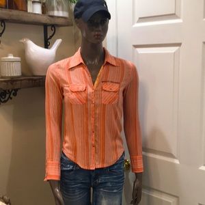 Harley Davidson shirt